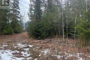 Commercial Land for Sale, Lot A Highway 31 Highway, Kaslo, BC