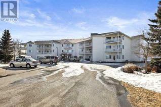 Condo Apartment for Sale, 3 Parklane Way #315, Strathmore, AB