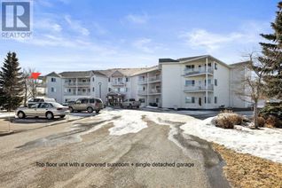 Condo Apartment for Sale, 3 Parklane Way #315, Strathmore, AB