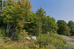 Commercial Land for Sale, 61 Marluc Avenue, Minden Hills, ON