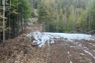 Commercial Land for Sale, Lot B Highway 31 Highway, Kaslo, BC