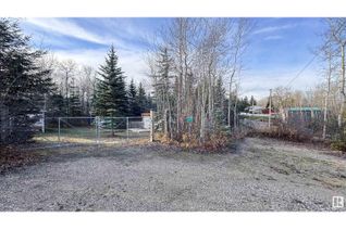 Land for Sale, 324, 11121 Twp Rd 595, Rural St. Paul County, AB