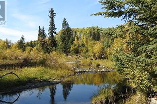 Land for Sale, 108 Acres Bordering Kananaskis, Rural Foothills County, AB