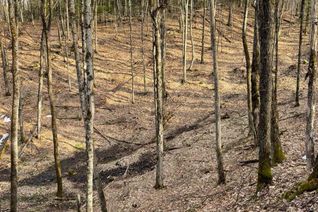 Land for Sale, 0 Brown Lane, Bancroft, ON