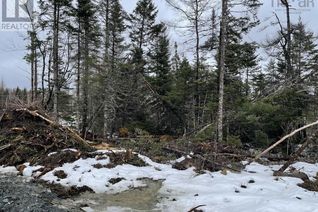 Land for Sale, Lot 1 Highway 7, Sherbrooke, NS