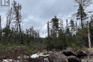 Land for Sale, Lot 4 Highway 7, Sherbrooke, NS