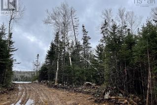 Land for Sale, Lot 6 Highway 7, Sherbrooke, NS