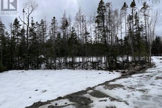 Land for Sale, Lot 10 Highway 7, Sherbrooke, NS