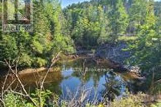 Commercial Land for Sale, Pt Lt 8 Old Barrys Bay Road, Madawaska Valley, ON