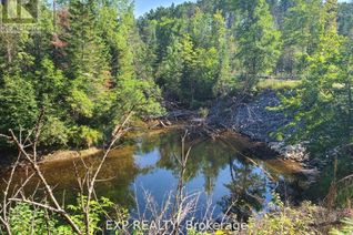 Commercial Land for Sale, Pt Lt 8 Old Barrys Bay Road, Madawaska Valley, ON