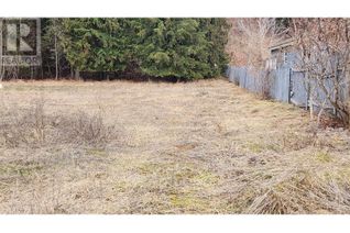 Vacant Residential Land for Sale, 507 3a Avenue, Nakusp, BC