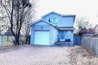 Property for Rent, 232 Avenue Road #Bsmt, Richmond Hill (North Richvale), ON