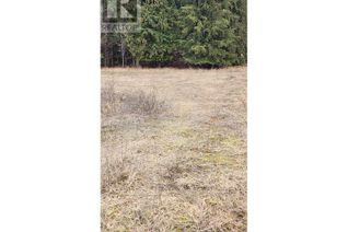 Vacant Residential Land for Sale, 509 3a Avenue, Nakusp, BC