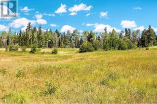 Property for Sale, 1 Little Fort 24 Highway #LOT, Bridge Lake, BC