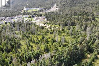 Commercial Land for Sale, 136 Main Street #A, Clarkes Beach, NL