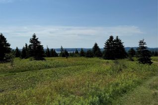 Land for Sale, 0 Seymours Road, Spaniards Bay, NL