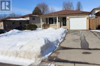 Backsplit for Rent, 6 Palmerston Place, London, ON