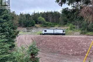 Commercial Land for Sale, 100 Harbour Drive, Colliers, NL