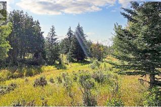 Land for Sale, 23 Grove, Rural Rocky View County, AB