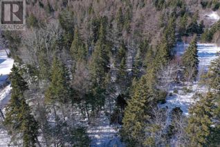 Commercial Land for Sale, Lot 2 Highway 4, Mcintyre Lake, Cleveland, NS