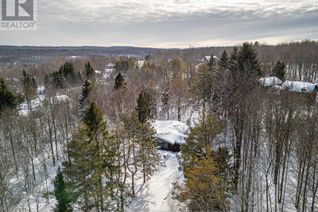 Chalet for Sale, 116 Castleview Road, Blue Mountains, ON