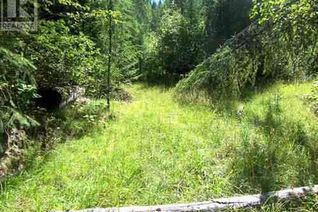 Land for Sale, 1828 6 Highway, Lumby, BC