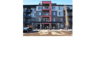 Condo Apartment for Sale, 115 5521 7 Av Sw Sw, Edmonton, AB