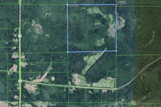 Commercial Land for Sale, 0 Connolly Rd., Marks Township, ON