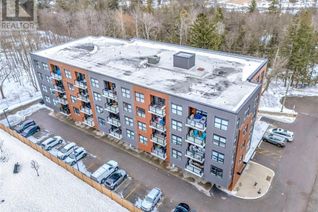 Condo Apartment for Sale, 88 Gibson Street Unit# 407, Ayr, ON