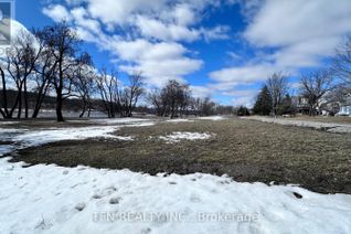 Land for Sale, 489 Caithness Street E, Haldimand, ON