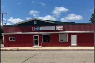 Other Business for Sale, 111 3rd Street, Bredenbury, SK