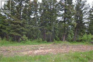 Land for Sale, 397 Johnson Way, Williams Lake, BC