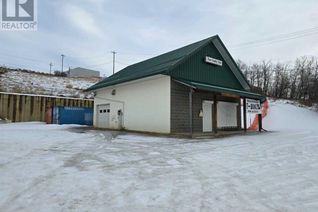 Non-Franchise Business for Sale, 9013 98 Street, Peace River, AB