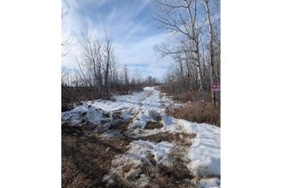 Commercial Land for Sale, Rr 40 Township 564, Rural Lac Ste. Anne County, AB