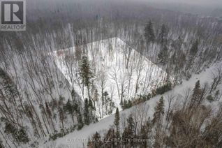 Commercial Land for Sale, 0 Peplinskie Road, Madawaska Valley, ON