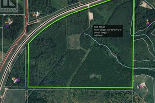 Land for Sale, Sw - 30-59-12 W5, Rural Woodlands County, AB