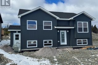 House for Sale, 51 Sir Wilfred Grenfell Street, St. John's, NL