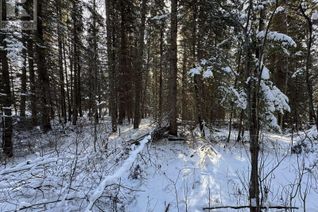 Land for Sale, Lot 91 Burgess Road, Deka Lake / Sulphurous / Hathaway Lakes, BC