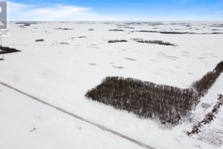 Farm for Sale, Wynyard Grain Land - Se 24-32-16 W2, Big Quill Rm No. 308, SK