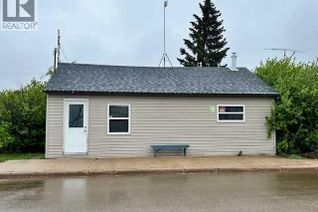 Business for Sale, 5009 49 Avenue, Forestburg, AB