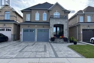 Property for Rent, 87 Campwood Crescent #Bsmt, Brampton (Bram East), ON