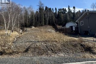 Property for Sale, 24 Drakes Head Road, Clarenville, NL