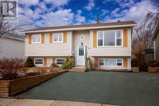 House for Sale, 52 Birmingham Street, St. John's, NL