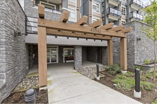 Condo Apartment for Sale, 45562 Airport Road #501, Chilliwack, BC