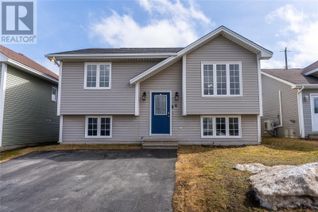 Property for Sale, 6 Sprucedale Drive, St. John's, NL, NL