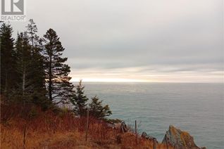 Land for Sale, Shore Frt Lot 86-64 Fundy Drive, Campobello, NB