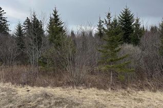 Commercial Land for Sale, 21-3 Mary Cecelia Ridge, St Andrew's, NS