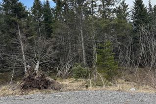 Commercial Land for Sale, 21-1 Mary Cecelia Ridge, St Andrew's, NS