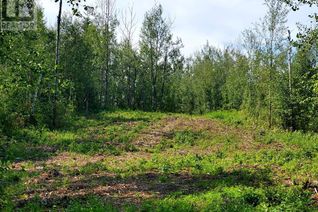 Commercial Land for Sale, 130, 67458 Mcgrane Road, Lac La Biche, AB