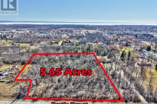 Commercial Land for Sale, Pt Lt 2 Bertie Street, Fort Erie (334 - Crescent Park), ON